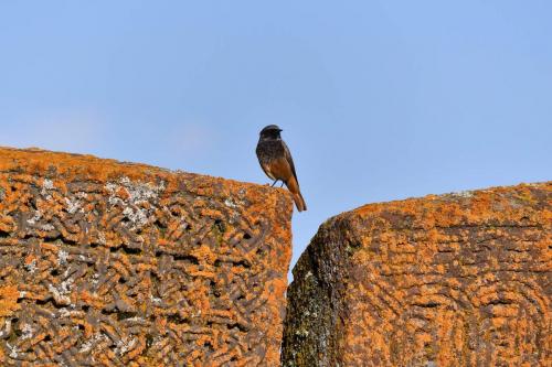 Friedhof von Noratus